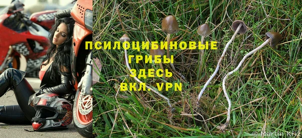соль курить ск Лиски