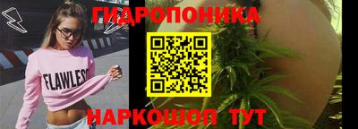 сатива Конаково