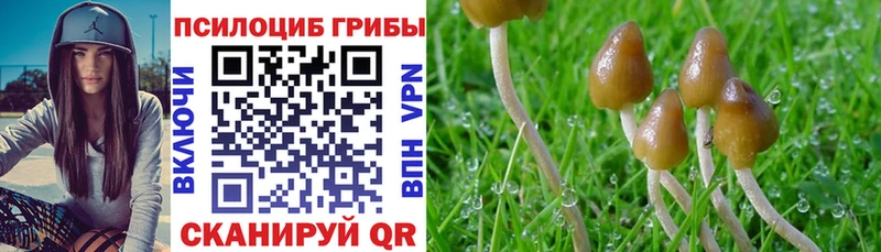 kraken онион  нарко площадка как зайти  Псилоцибиновые грибы Cubensis  Юрга 