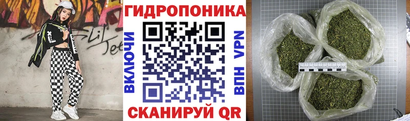 Шишки марихуана планчик купить Юрга