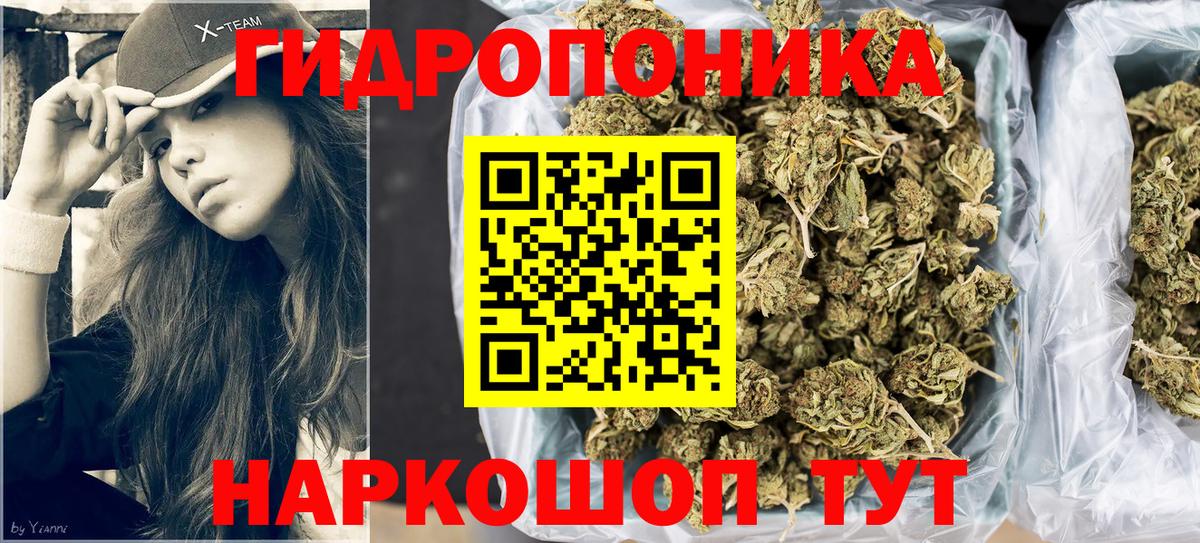 МАРИХУАНА Amnesia  Вход с VPN  Конопля VHQ  Юрга 