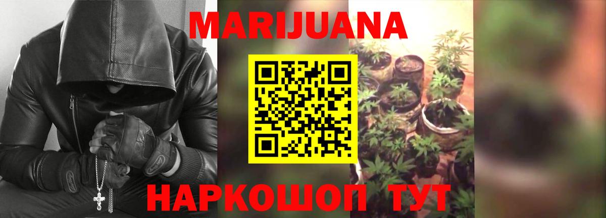 Псилоцибиновые грибы Юрга